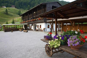 Отель Albergo Riglarhaus  Саурис